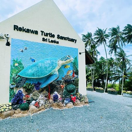 Shine Wave Turtle Beach Tangalle Kültér fotó