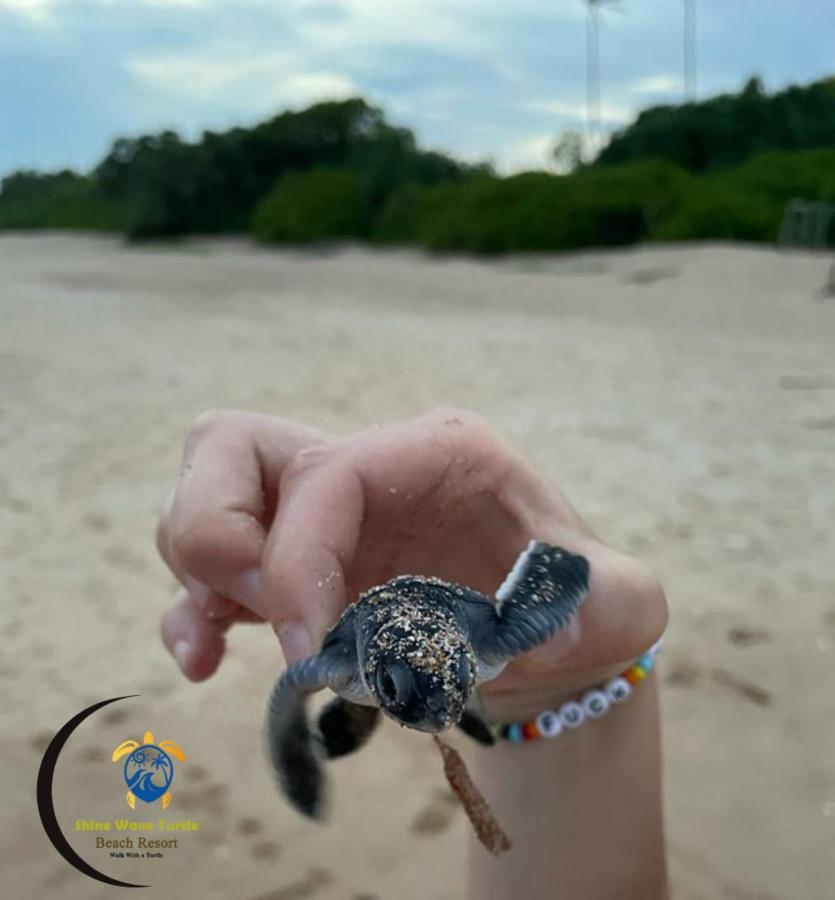 Shine Wave Turtle Beach Tangalle Kültér fotó