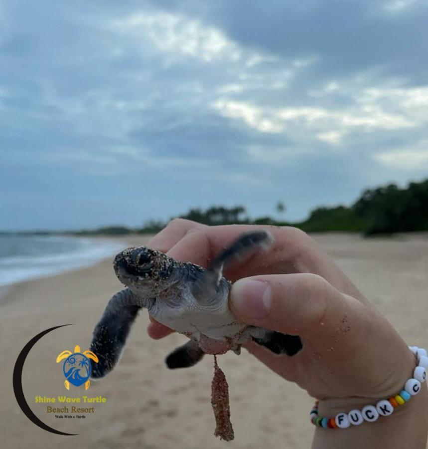 Shine Wave Turtle Beach Tangalle Kültér fotó
