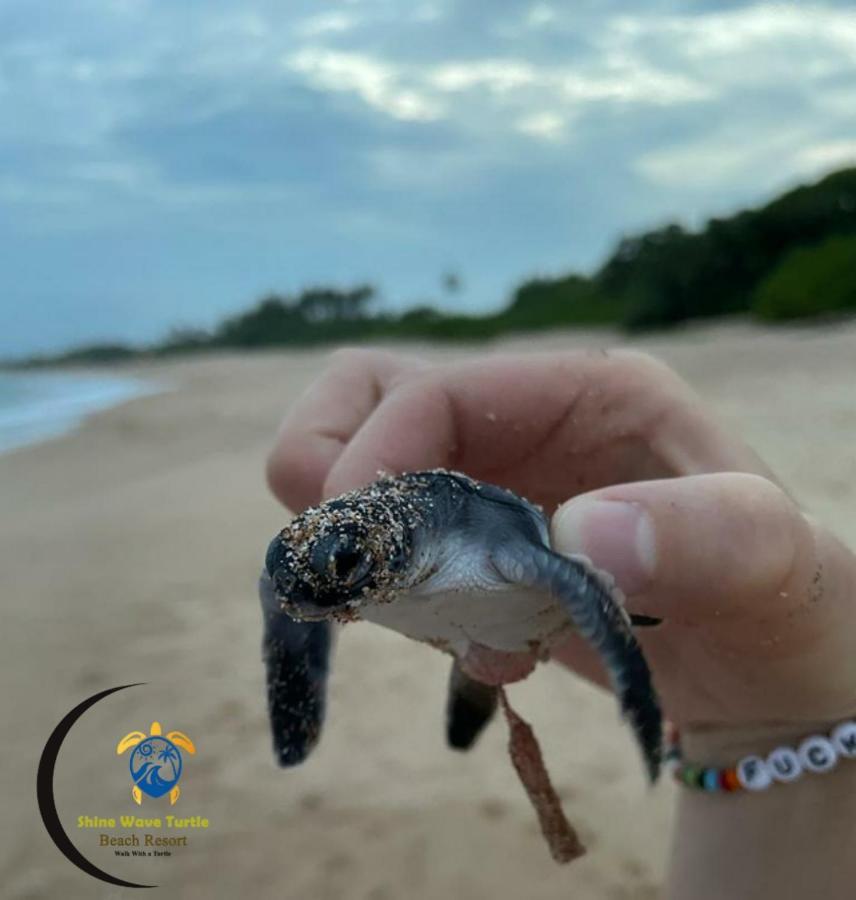Shine Wave Turtle Beach Tangalle Kültér fotó