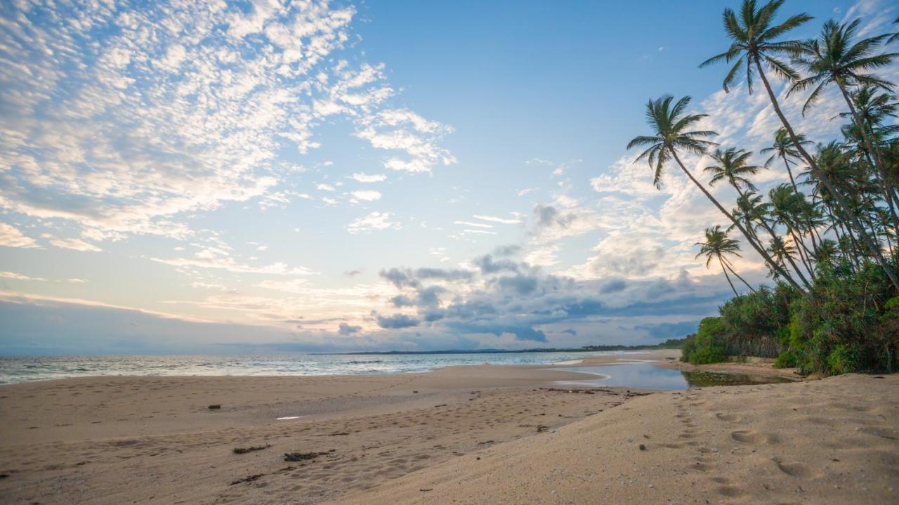 Shine Wave Turtle Beach Tangalle Kültér fotó