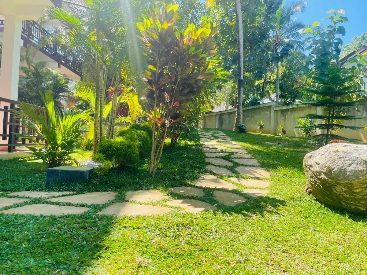 Shine Wave Turtle Beach Tangalle Kültér fotó