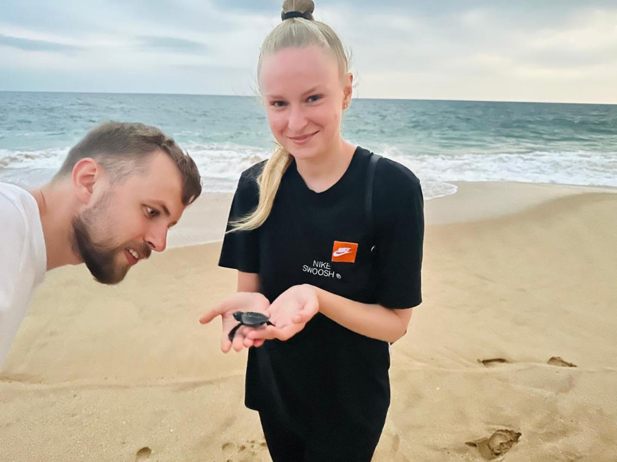 Shine Wave Turtle Beach Tangalle Kültér fotó