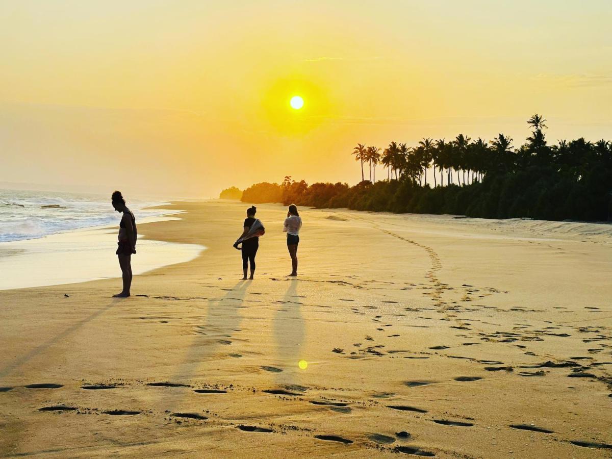 Shine Wave Turtle Beach Tangalle Kültér fotó