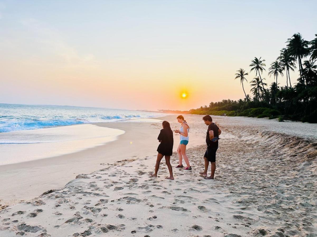 Shine Wave Turtle Beach Tangalle Kültér fotó