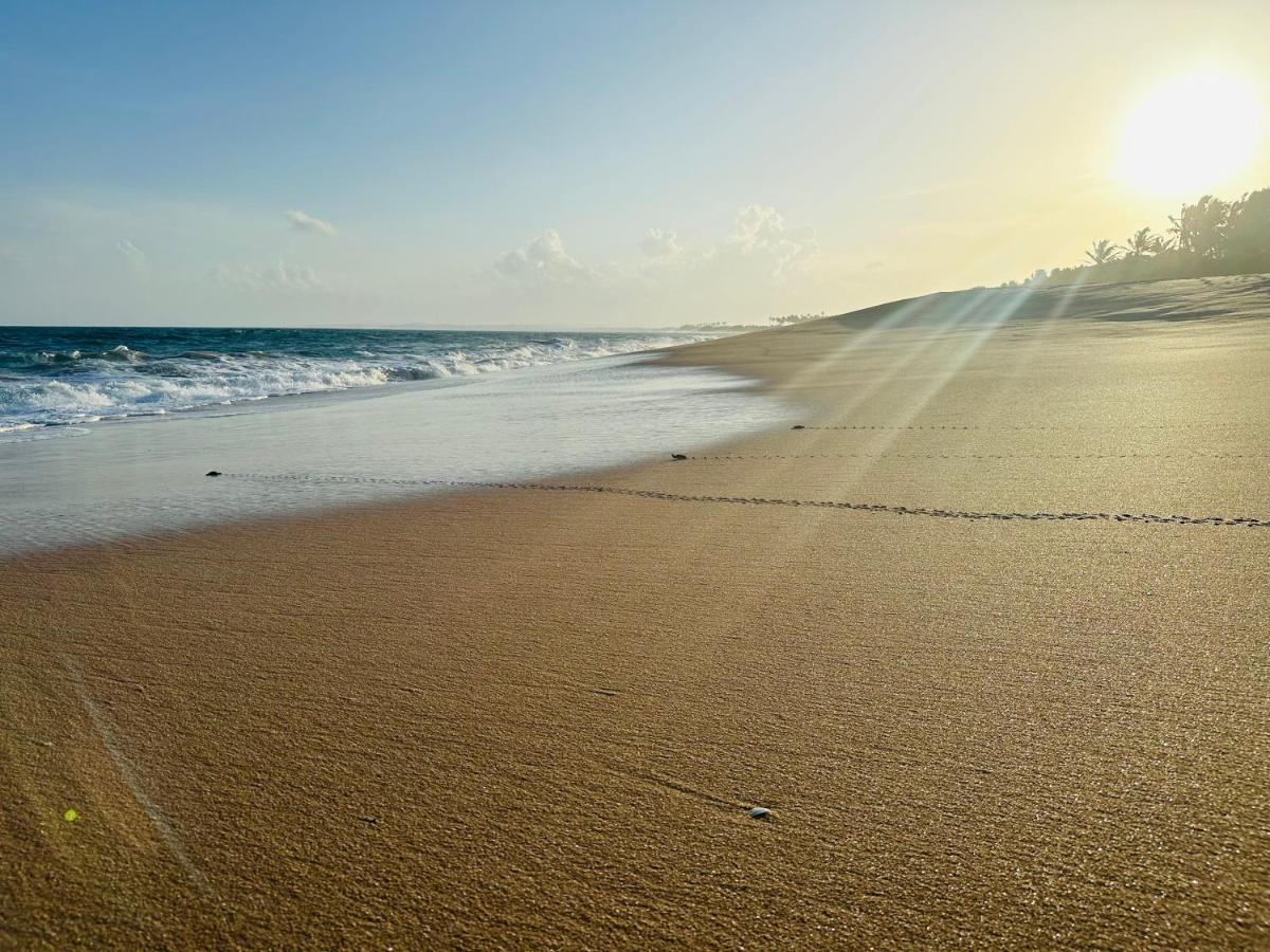 Shine Wave Turtle Beach Tangalle Kültér fotó