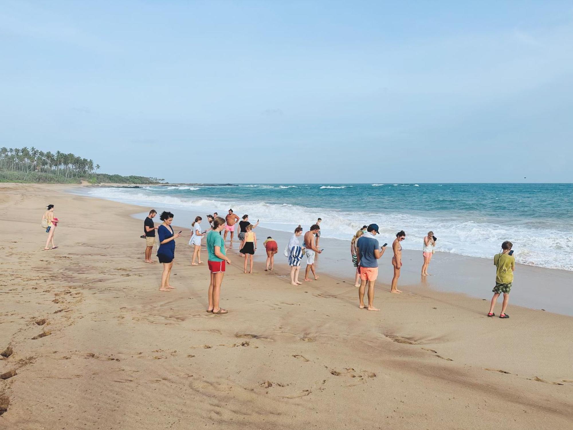 Shine Wave Turtle Beach Tangalle Kültér fotó