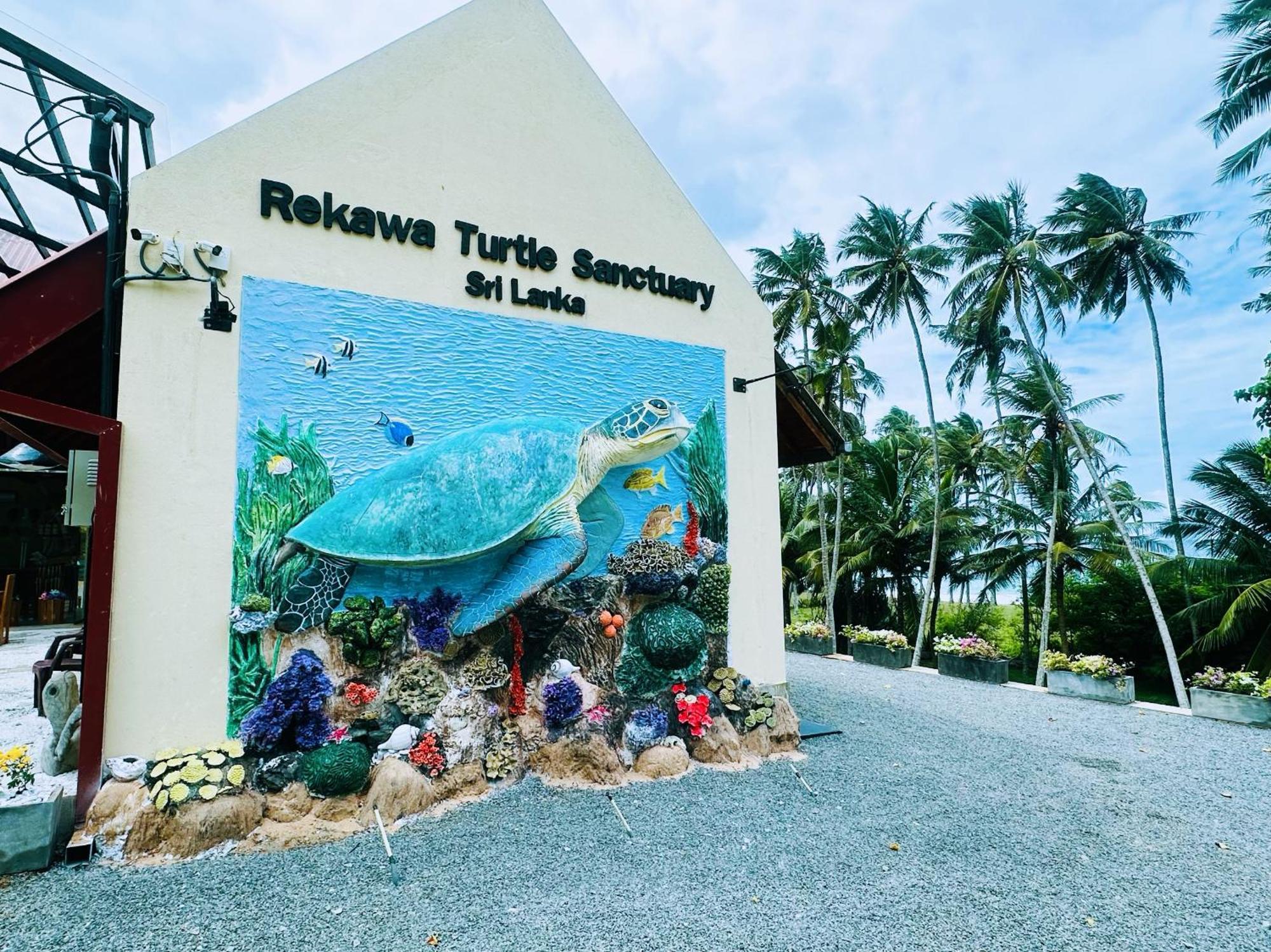 Shine Wave Turtle Beach Tangalle Kültér fotó
